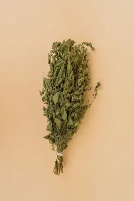 Веник Мелисса Веник Мелисса