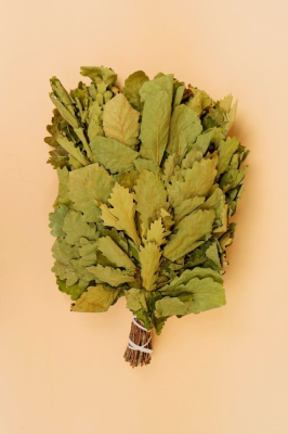 Веник дуб Веник дуб