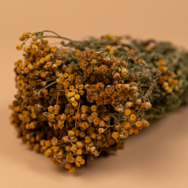 Травы для бани Woodson, пижма